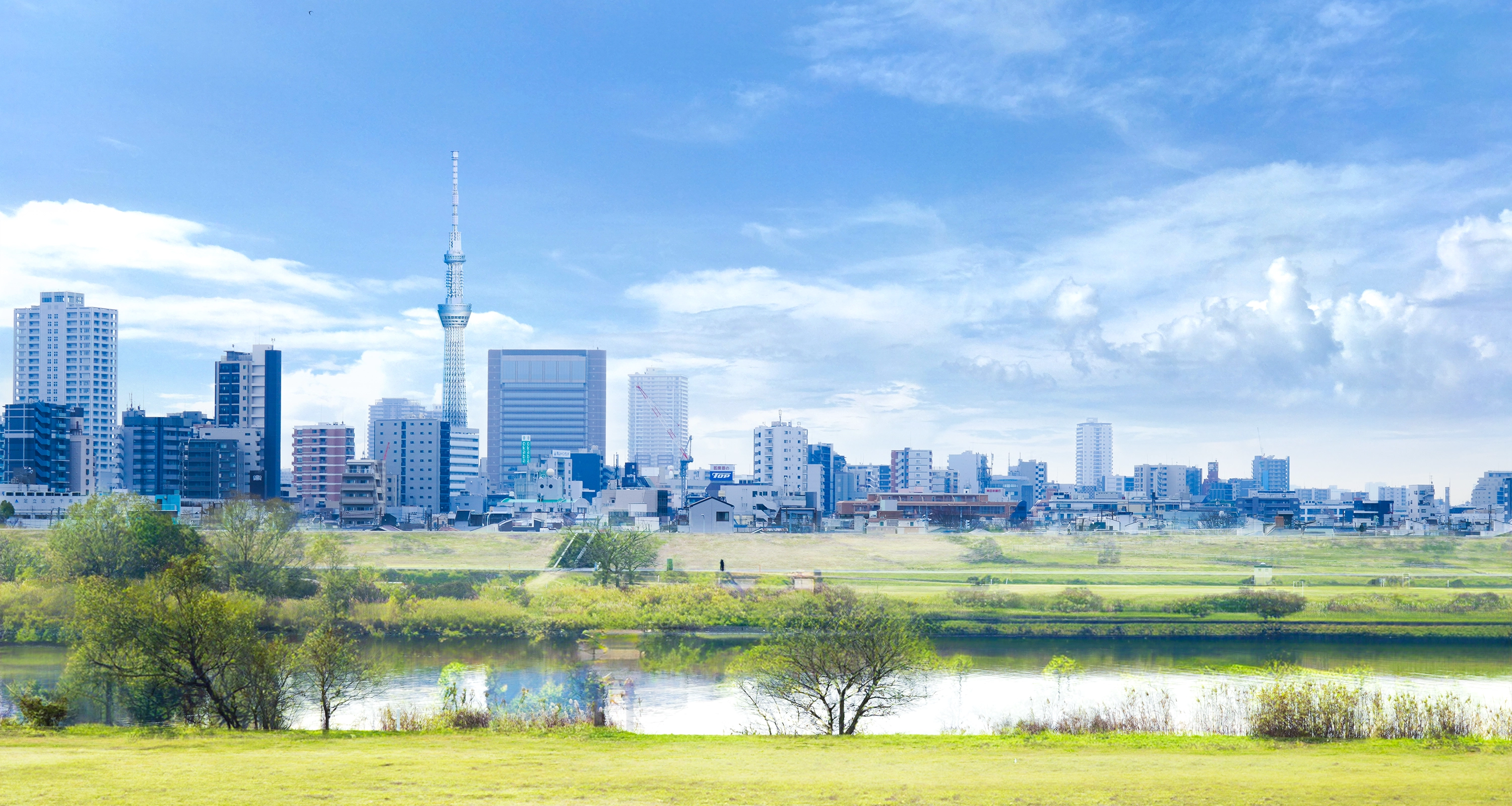 荒川に根付いた